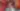 woman - free people & portraits wallpaper 6000×3374