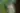 Woman In Chair Among Garden Foliage - free people & portraits wallpaper 8256×5242