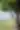 Woman in Yellow Skirt by Large Tree in Landscape - free people & portraits wallpaper 4000×6000
