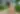 Crouching Woman in a Bikini - free people & portraits wallpaper 7971×5610