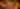Brown-Haired Lady in a Bikini - free gaming wallpaper 4096×1756