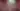 Anime Girls Celebration: Multi-Series Gathering - free anime wallpaper 7680×4320