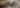 Tactical Desert Mission - Lara Croft - free art & design wallpaper 5120×2160