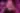 Megurine Luka in Neon Cyberpunk Setting - free anime wallpaper 3840×2400