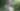 Woman in White Dress Posing in Garden Setting - free wallpaper 5000×2813