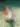 Woman Posing on Tennis Court with Balls - free wallpaper 3762×5000