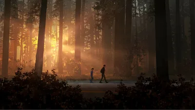 Life Is Strange 2 - Multiplatform Gaming