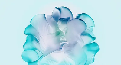 Windows 11 Bloom