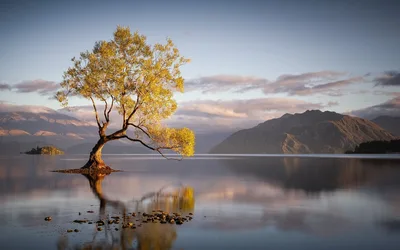 Mountain Lake Reflection Among Green Trees