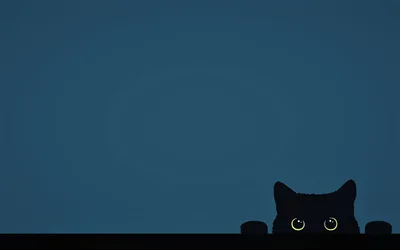 Minimalist Cat with Golden Eyes