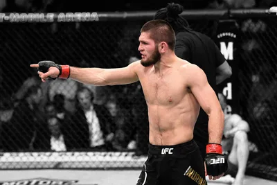 Khabib Nurmagomedov UFC Champion in Action - free art & design wallpaper 1920×1280