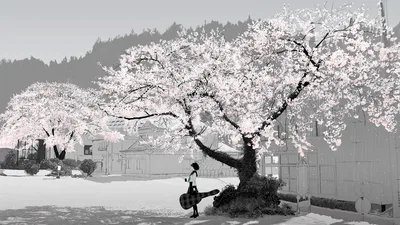 Cherry Blossom Dreams: Girl with Guitar - free anime wallpaper 1920×1080
