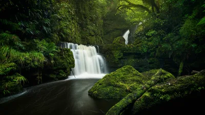 Misty Cascade in the Emerald Forest - free wallpaper 2560×1440