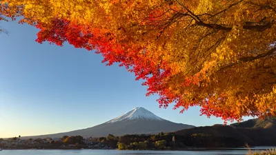 Autumn Splendor at Mount Fuji - free landscapes wallpaper 6144×3463