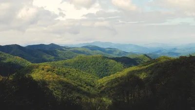Rolling Mountain Forest Vista - free landscapes wallpaper 3840×2160