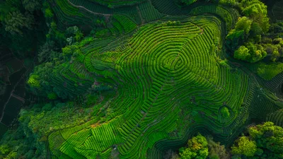 Terraced Fields of Lzf: Green Mountains of Sichuan - free photography wallpaper 3840×2160