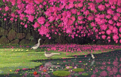 Geese Among Pink Blossoms and Water Lilies - free nature wallpaper 4124×2626