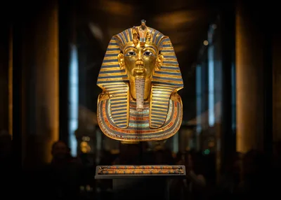 Golden Pharaoh Mask Display in Museum Gallery - free city & urban wallpaper 5120×3658