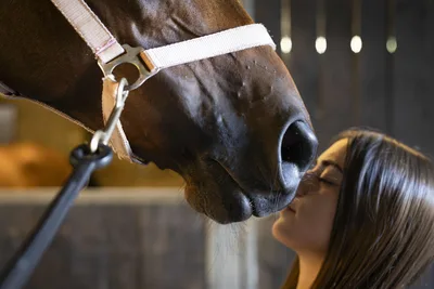 Woman Kissing Horse's Muzzle in Stable - free people & portraits wallpaper 5742×3828