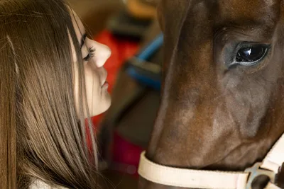 Girl and Horse Close-Up Connection - free people & portraits wallpaper 6000×4000