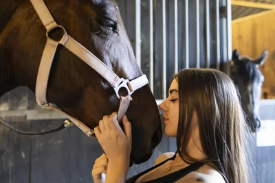 Woman Bonding with Dark Horse in Stable - free wallpaper 6000×4000