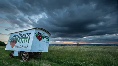Strawberry Stand in Rural Field at Dusk - free landscapes wallpaper 5948×3346