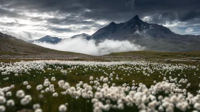 Alpine Meadow in the Clouds - free nature wallpaper 3840×2160