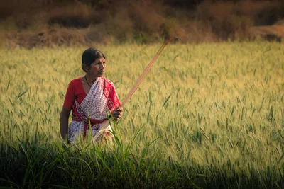 Woman Harvesting Grain in Rural Field - free people & portraits wallpaper 3072×2048