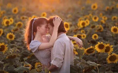 Couple Embracing in Sunflower Field at Golden Hour - free people & portraits wallpaper 1920×1191