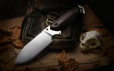 Fixed Blade Knife With Leather Sheath and Autumn Leaves - free architecture wallpaper 3840×2400