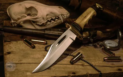 Vintage Adventure Collection with Knife and Skull - free architecture wallpaper 3840×2400