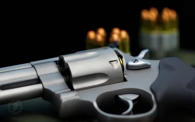 Close-Up of Silver Revolver with Blurred Background - free architecture wallpaper 3840×2400