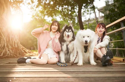 Two Girls with Large Dogs on Wooden Deck - free people & portraits wallpaper 4829×3169