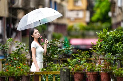 Woman With White Umbrella in Rainy Garden - free people & portraits wallpaper 6144×4054