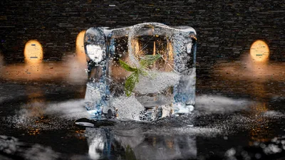 Frozen Glass Cube With Plant In Winter Scene - free art & design wallpaper 4608×2592