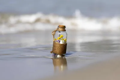 Message In A Bottle With Flowers On Beach Shore - free nature wallpaper 5120×3413