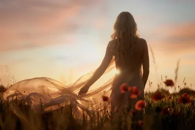 Woman in Sheer Fabric Among Red Poppies at Sunset - free people & portraits wallpaper 2048×1374