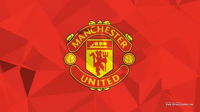 Manchester United Football Club Logo on Red Background - free sports wallpaper 1920×1080