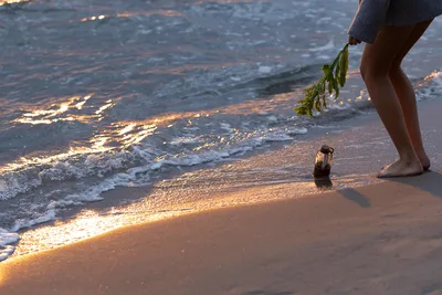 Person Holding Seaweed at Golden Hour Beach - free people & portraits wallpaper 6000×4000