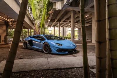 Blue Lamborghini Aventador Under Urban Concrete Structure - free cars & vehicles wallpaper 9504×6336