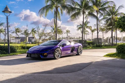 Purple Sports Car in Tropical Residential Community - free cars & vehicles wallpaper 9504×6336