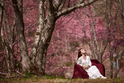 Woman in White Dress Under Blooming Pink Tree - free people & portraits wallpaper 5025×3350