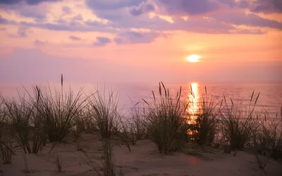 Sunset Over Beach With Dune Grass - free landscapes wallpaper 5880×3675