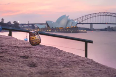 Decorative Owl Figurine at Sydney Harbour at Dusk - free city & urban wallpaper 8688×5792
