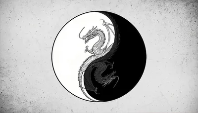 Yin Yang Dragons in Monochrome Circle Design - free art & design wallpaper 3840×2194