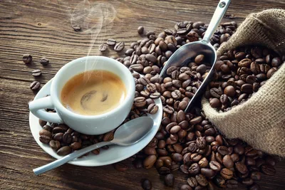 Steaming Coffee Cup Surrounded by Coffee Beans - free food wallpaper 8256×5504