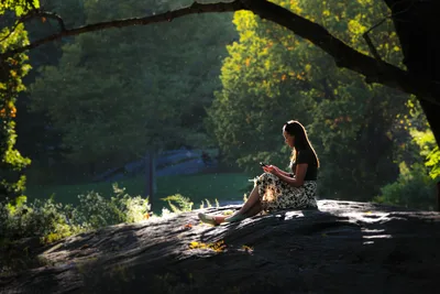 Woman Sitting on Log Under Tree Canopy by Water - free wallpaper 4669×3113