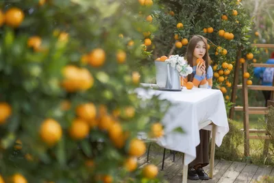 Woman Seated at Table in Orange Grove - free people & portraits wallpaper 6144×4096