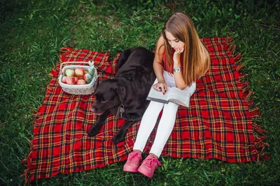 Woman Reading on Picnic Blanket with Dog and Apples - free people & portraits wallpaper 5400×3600