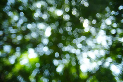 Bokeh Foliage With Radial Motion Blur Effect - free nature wallpaper 7008×4672